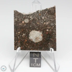 NWA 15662 LL3 Meteorite 11.5g