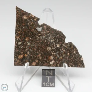 NWA 15662 LL3 Meteorite 14.2g
