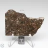 NWA 15662 LL3 Meteorite 18.4g