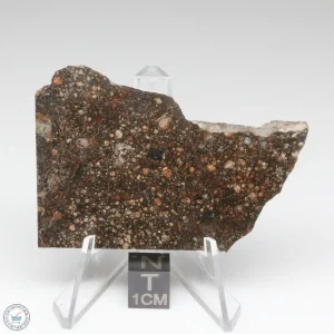 NWA 15662 LL3 Meteorite 18.4g