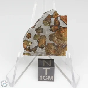 Imilac Pallasite Meteorite 12.1g