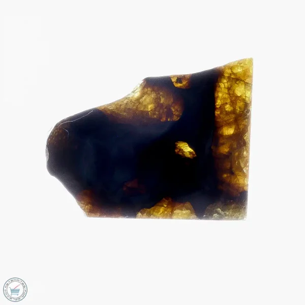Imilac Pallasite Meteorite 11.9g