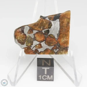 Imilac Pallasite Meteorite 11.9g