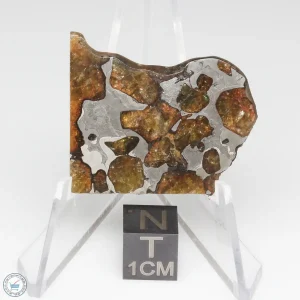 Imilac Pallasite Meteorite 12.8g