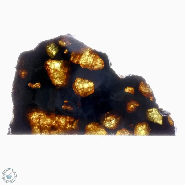 Imilac Pallasite Meteorite 22.2g