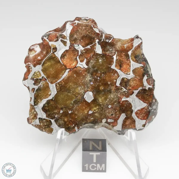 Imilac Pallasite Meteorite 29.6g