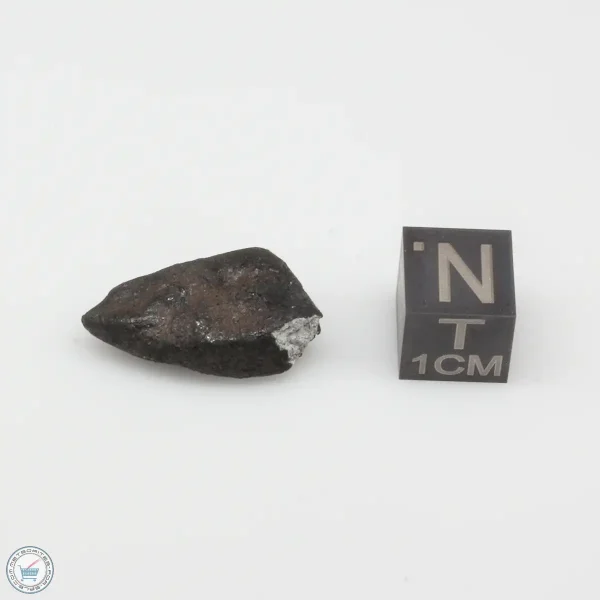 Oued Sfayat Meteorite 3.1g