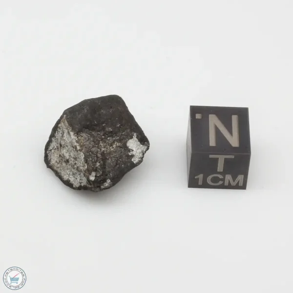 Oued Sfayat Meteorite 4.4g
