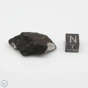 Oued Sfayat Meteorite 13.8g