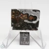 Seymchan Pallasite Meteorite 9.3g