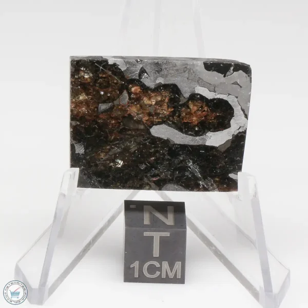 Seymchan Pallasite Meteorite 9.3g