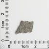 NWA 11255 Martian Meteorite 0.25g