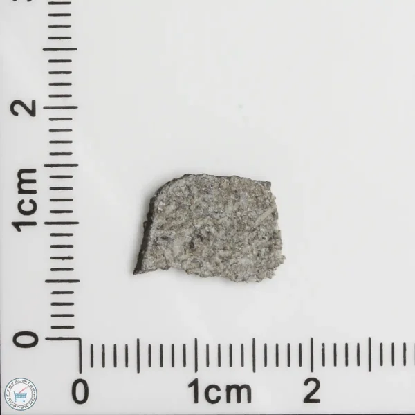 NWA 11255 Martian Meteorite 0.20g