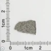 NWA 11255 Martian Meteorite 0.24g