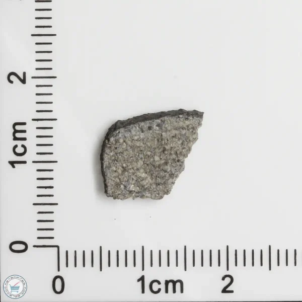 NWA 11255 Martian Meteorite 0.36g