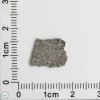 NWA 11255 Martian Meteorite 0.34g