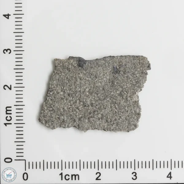 NWA 11255 Martian Meteorite 1.67g