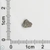 NWA 11255 Martian Meteorite 0.07g