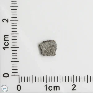 NWA 11255 Martian Meteorite 0.08g
