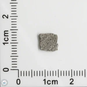 NWA 11255 Martian Meteorite 0.12g