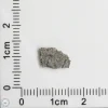 NWA 11255 Martian Meteorite 0.15g
