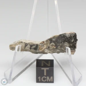 NWA 14016 Meteorite 3.3g