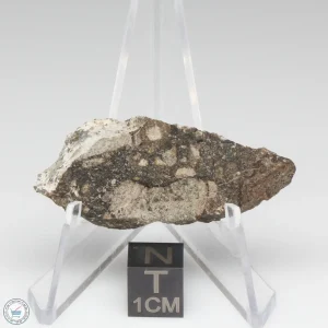 NWA 14016 Meteorite 8.5g