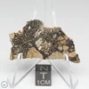 NWA 14016 Meteorite 9.9g