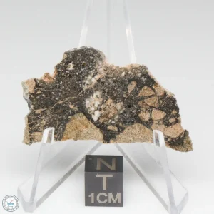 NWA 14016 Meteorite 9.9g