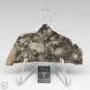 NWA 14016 Meteorite 15.4g