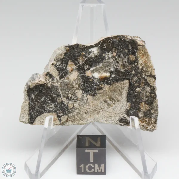 NWA 14016 Meteorite 15.5g
