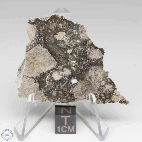 NWA 14016 Meteorite 14.3g
