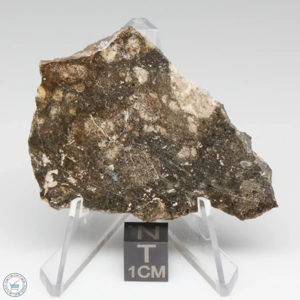 NWA 14016 Meteorite 19.1g