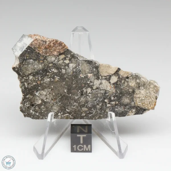 NWA 14016 Meteorite 22.8g