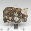 NWA 14016 Meteorite 20.6g