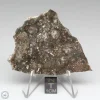 NWA 14016 Meteorite 25.6g
