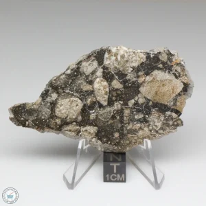 NWA 14016 Meteorite 26.8g