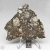 NWA 14016 Meteorite 33.6g