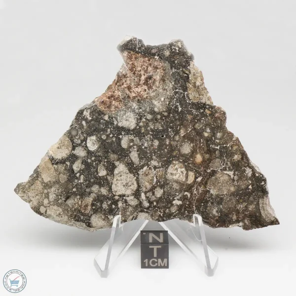 NWA 14016 Meteorite 50.4g