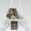 NWA 14016 Meteorite 2.9g