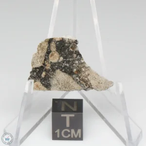 NWA 14016 Meteorite 2.9g