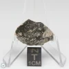NWA 14016 Meteorite 4.8g