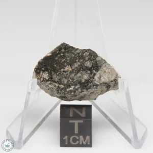 NWA 14016 Meteorite 4.8g