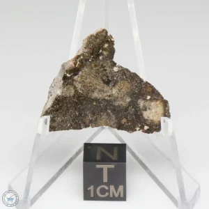 NWA 14016 Meteorite 4.4g