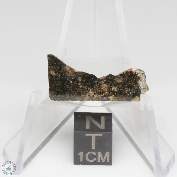 NWA 15656 Eucrite-pmict Meteorite 1.4g