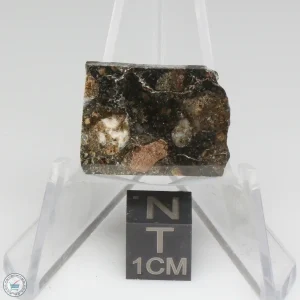 NWA 15656 Eucrite-pmict Meteorite 2.6g