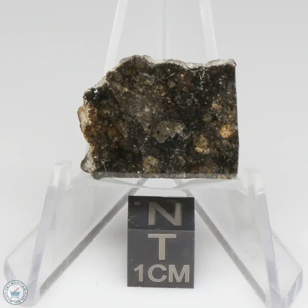 NWA 15656 Eucrite-pmict Meteorite 2.8g