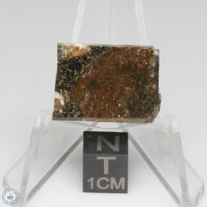NWA 15656 Eucrite-pmict Meteorite 2.7g