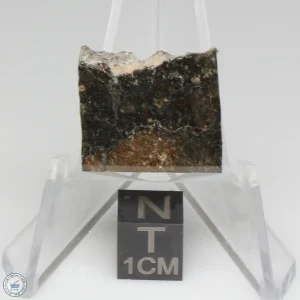 NWA 15656 Eucrite-pmict Meteorite 2.7g