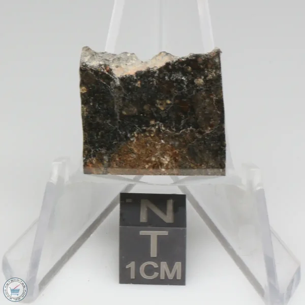 NWA 15656 Eucrite-pmict Meteorite 2.7g